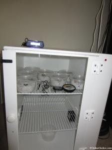 nature-spirit-incubator.jpg