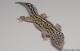 Sold - Mack Snow Eclipse het Radar Male Leopard Gecko For Sale 2