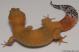 Sold - Tangerine Female Leopard Gecko For Sale M20F77072818F 1